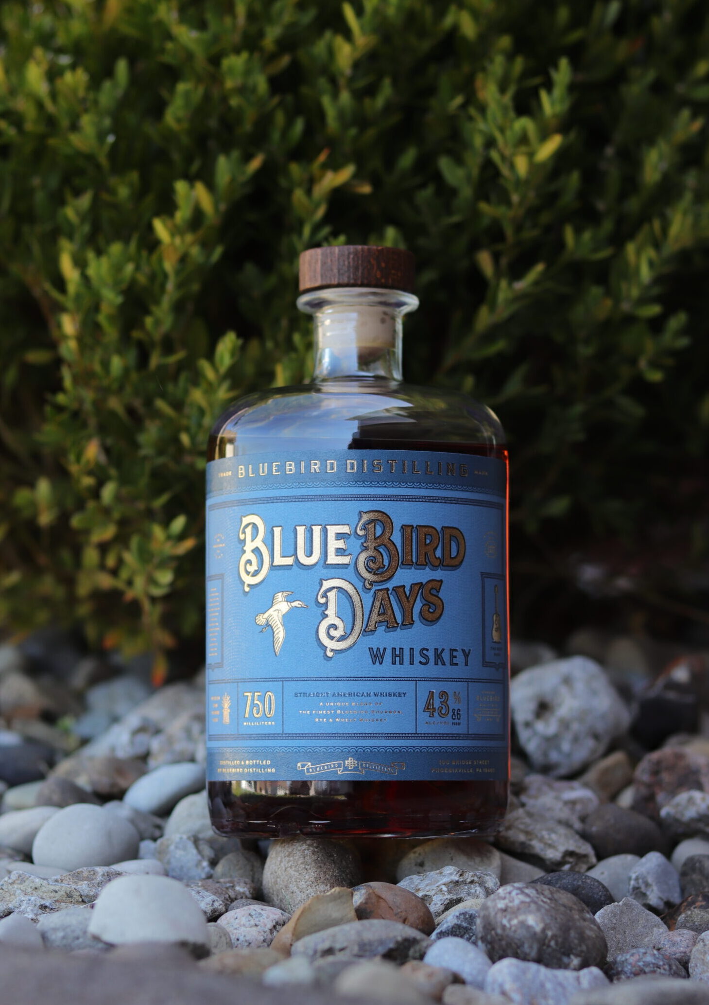 It’s a Great Day for a Bluebird Days Whiskey Review