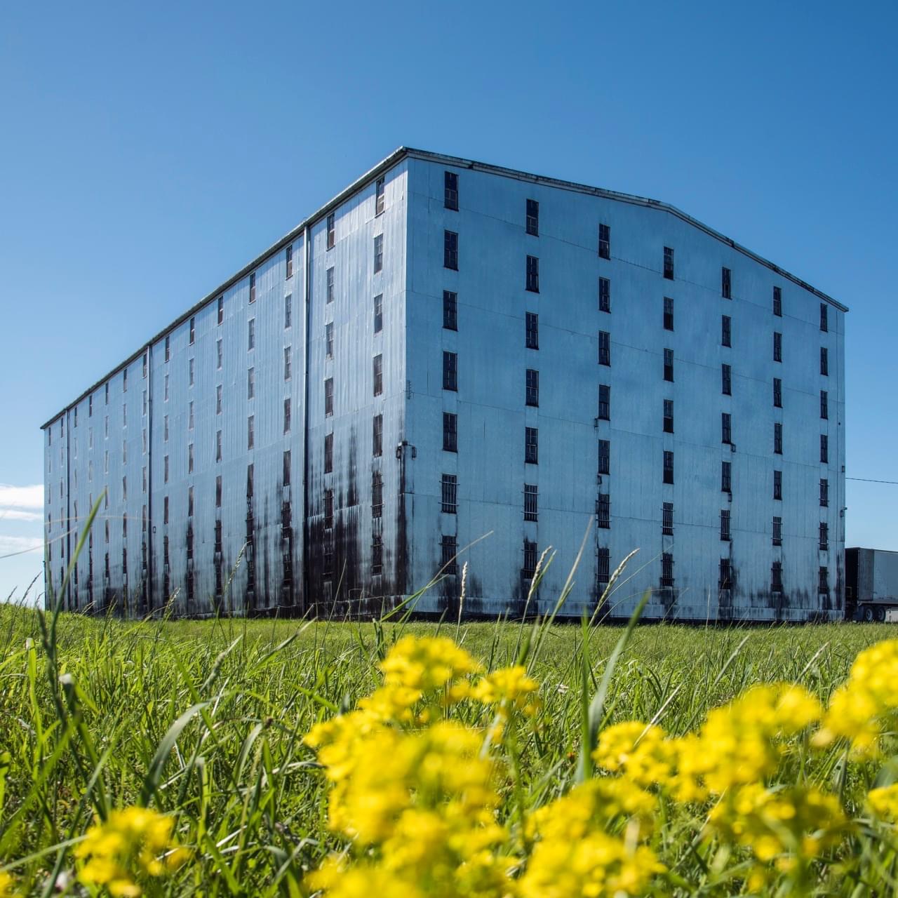 A Kentucky Bourbon Whiskey Rickhouse in the Spring