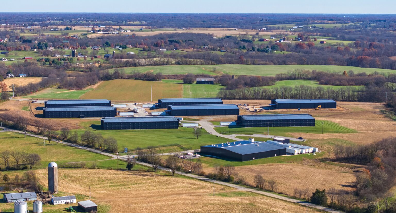 The blending house of Shelbyville